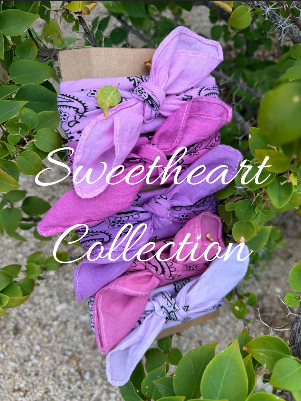 Bandana Bandanas ⭐️NWT Cotton Paisley Bandana Set "The Sweetheart Collection"
